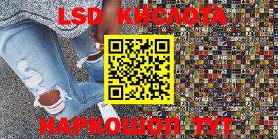 твердый Кингисепп