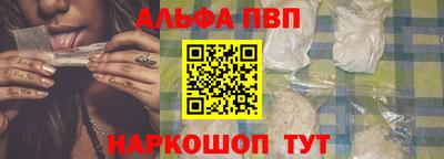 твердый Кингисепп
