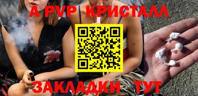 твердый Кингисепп