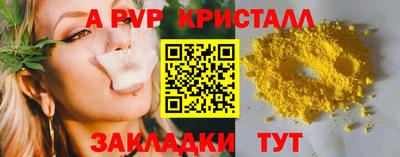 твердый Кингисепп